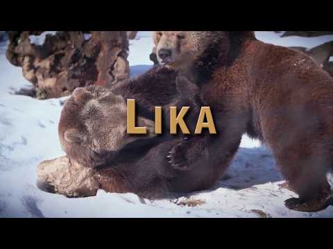 Mario Rucner project feat Dj Macola -Lika 2016/2017