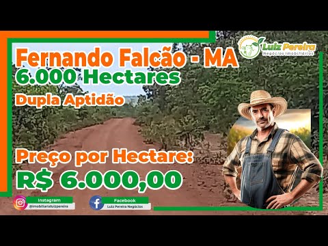 Fazenda em Fernando Falcão MA  6.000 Hec., D.aptidão, espetacular para agricultura,reserva legal 35%