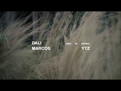 MARCOS YTZ - DALÍ (Video Oficial)