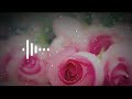 Dil Nashi Dil Nashi Shorts Satyam Fluet Music Song Hindi Ringtones Shortsfeed Best Ringtone
