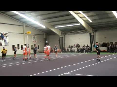 Weidevogels 1 -  HKC 1 (2016-11-26)