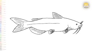 Catfish easy drawing 05 | Art tutorial | How to draw A Catfish step by step easily | #artjanag