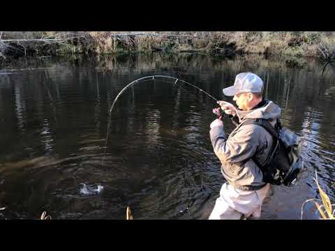 S472XUL 0.6-2 грамм