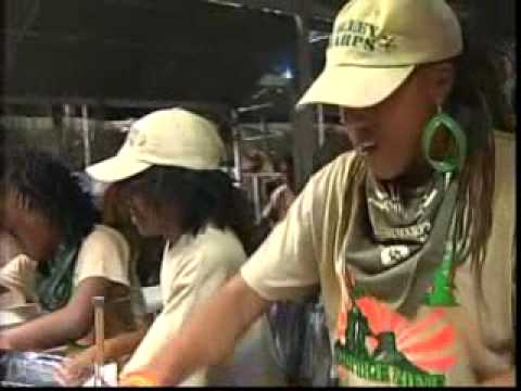 Valley Harps - Battle Zone