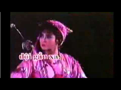 karaoke   HANG VO BIET NGU CO ( thieu giong nam)