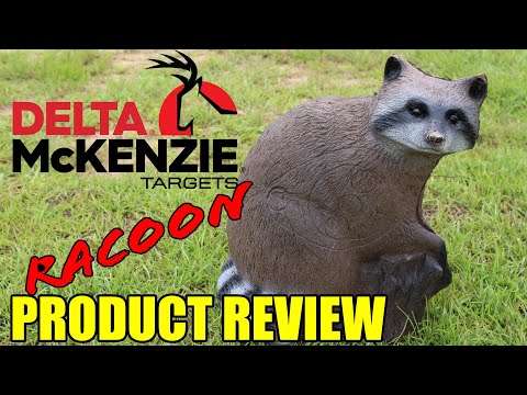 The Delta McKenzie Racoon Target