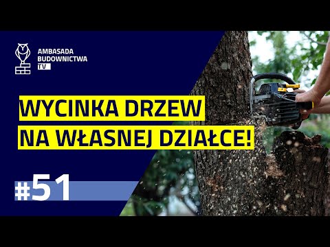 #51 - Wycinka drzew i krzewów – jak nie narazić się na kłopoty z prawem?