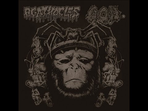Death By Digital Presents: Agathocles - Chronic Death