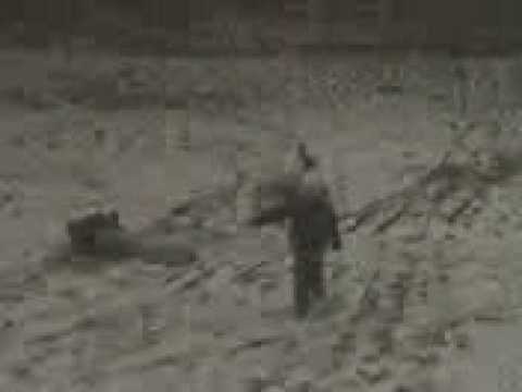 nebuni din halanga blocuri 3