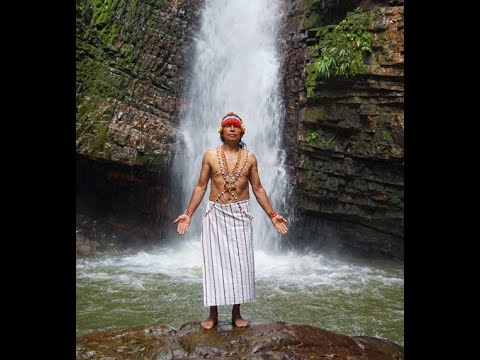 Icaro Ayahuasca Canto Chamanico Sanador de la Medicina Tradicional Amazónica