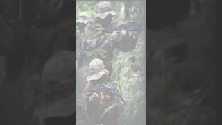 Download lagu story wa jedag jedug hantu rimba tni#shorts#storywa#tni#subscribe mp3 Download lagu story wa jedag jedug hantu rimba tni#shorts#storywa#tni#subscribe mp3