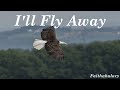 I’ll Fly Away – Timeless Christian Hymn for Hope & Heaven| ✨🎶Believers Hope| 🙏Lyrics Included|