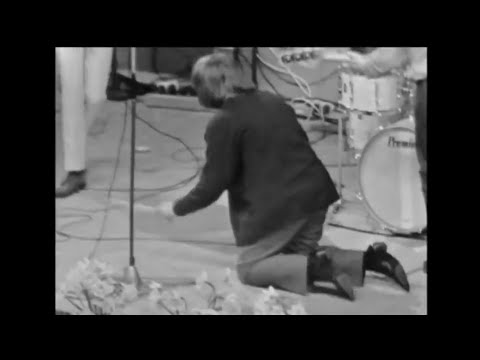 The Pretty Things live 1965 (Beat, Beat in Blokker) w/ Viv Price