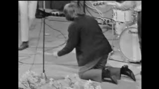 The Pretty Things live 1965 (Beat, Beat in Blokker) w/ Viv Price