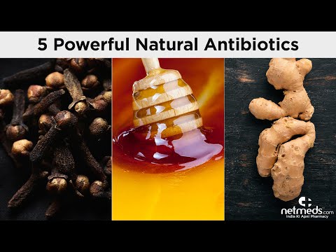 5 Best Natural Antibiotic..
