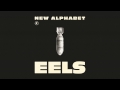 EELS - New Alphabet (Audio Stream) - from WONDERFUL GLORIOUS - Out Now!