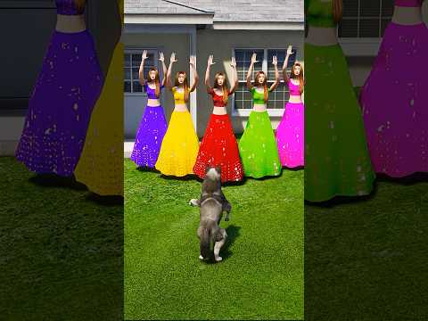 Dogs teach us love in its purest form | GTA V | #shorts #221