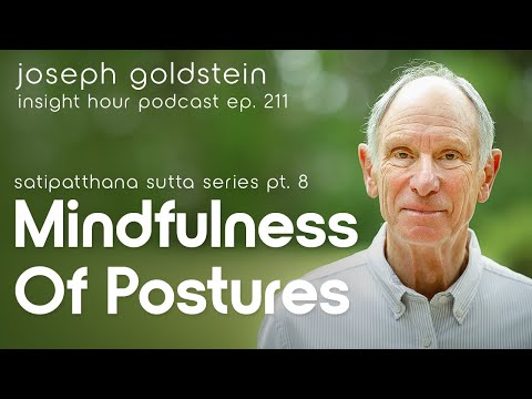 Joseph Goldstein: Mindfulness Of Postures - Satipatthana Sutta Series Pt. 8 - Insight Hour Ep. 211