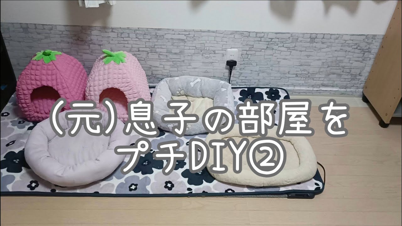 【多頭飼育】仮の猫部屋完成しました😽