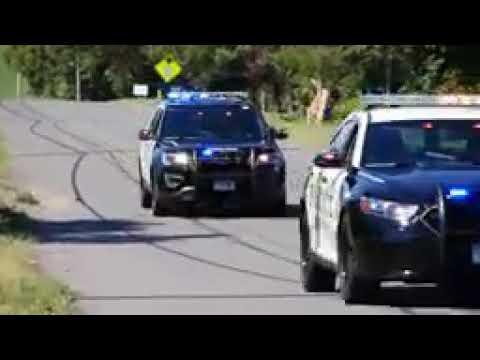 Polecat324's Old CZG Intro Song (full song)