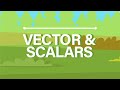What Are Vector And Scalar Quantities