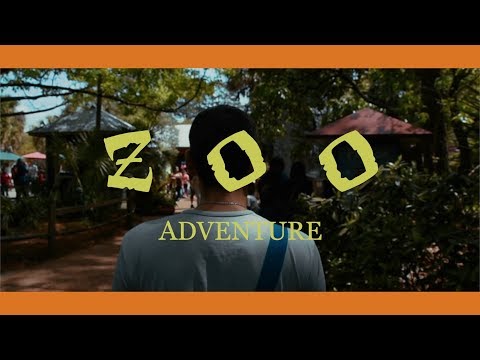 Zoo Adventure | Nikon D750