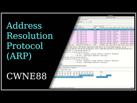 Address Resolution Protocol (ARP)