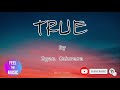 True - Ryan Cabrera (Lyrics Video)