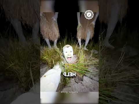 Anh Ấy Đang Cố Gắng Sống Hòa Thuận Với Bộ Tộc Kì Lạ Này