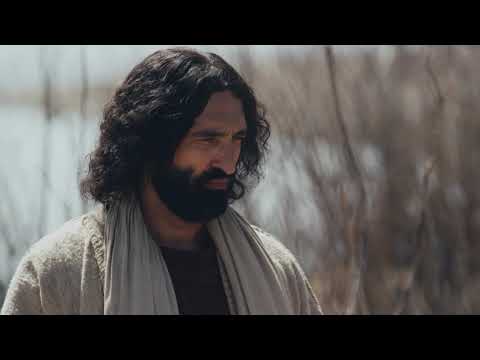 Daily Gospel Reading Video - St. Matthew 8:28-34 (English)