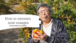 [4K ]How to sour oranges sweet