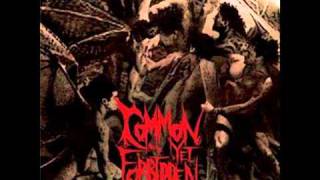 Common Yet Forbidden - The Struggle