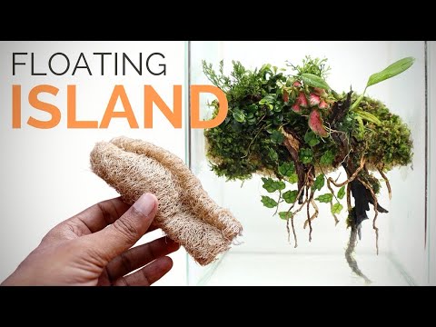 Next-Level Terrarium 🌿 Floating and Self-Watering