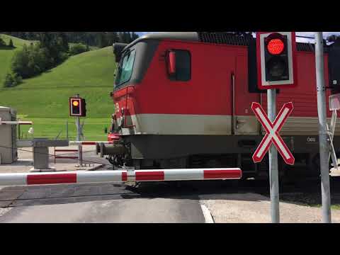 ÖBB 1144.055 pulling RZ from Innichen to Lienz. Sillian on 06.22.2020