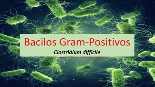 Microbiologia Médica: Clostridium difficile - Bacilos Gram Positivos