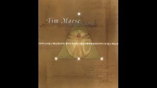 Tim Morse - Shatter