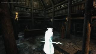 Skyrim - No Friendly Fire Reborn