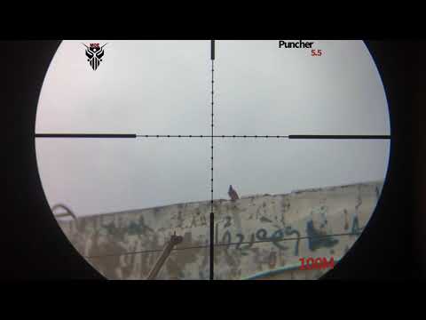 Kral puncher breaker cal 22