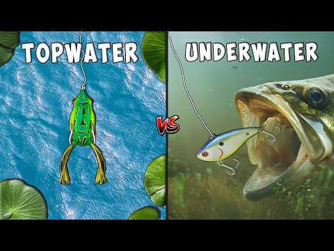 Topwater vs Underwater Fishing Challenge
