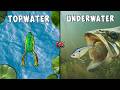 Topwater Vs Underwater Fishing Challenge