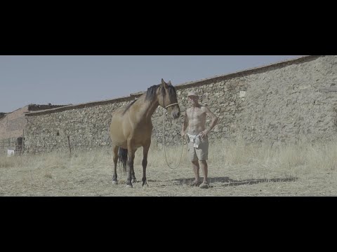 Vicente Navarro - Un llanto (Videoclip oficial)