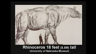 Earth before Noah's Flood