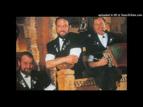 Jodelduett Gebrüder Wiedmer