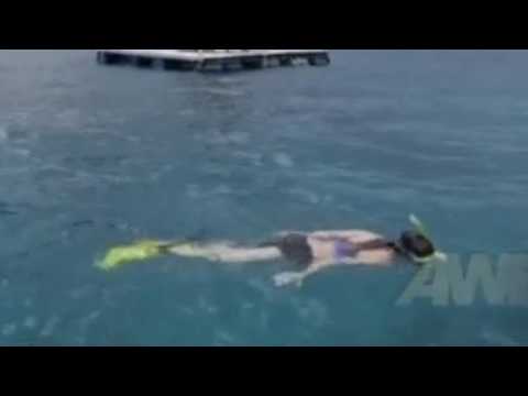 Sexy Host Girl Scuba Diving And Snorkeling With Yellow Fins