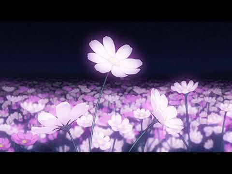 I don't wanna do this anymore (Slowed + Reverb) - YouTube
