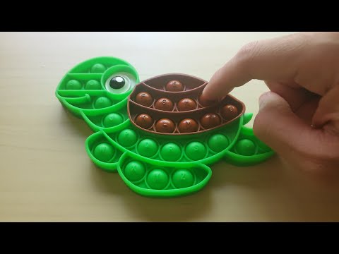 Green Turtle Push Pop It Fidget Toy