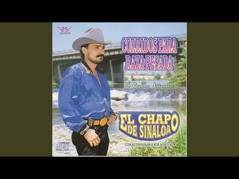 download lagu mp3 mp4 El Chapo De Sinaloa El Gallo Jugado, download lagu El Chapo De Sinaloa El Gallo Jugado gratis, unduh video klip El Chapo De Sinaloa El Gallo Jugado