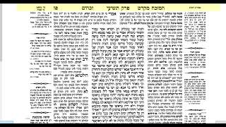 דף היומי זבחים דף פז