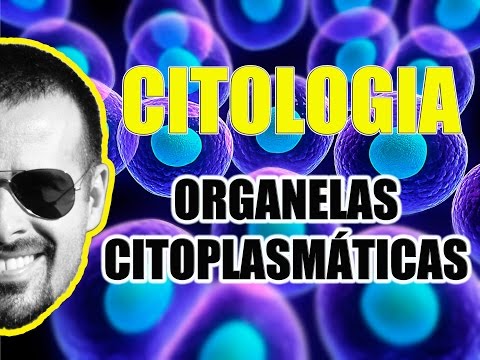 Organelas Citoplasmáticas e Citosol - Células - Biologia Celular - Citologia - VideoAula 002