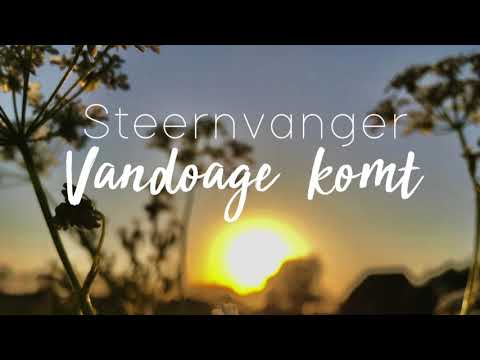 Steernvanger - Vandoage komt...